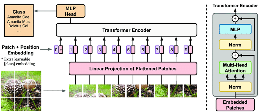 VisionTransformer